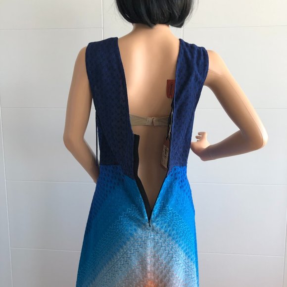 Ombre Gown - Picture 15 of 16